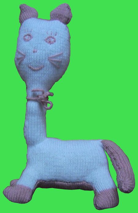 chat.JPG
