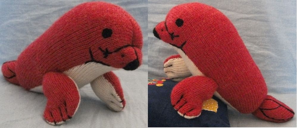 phoque.JPG