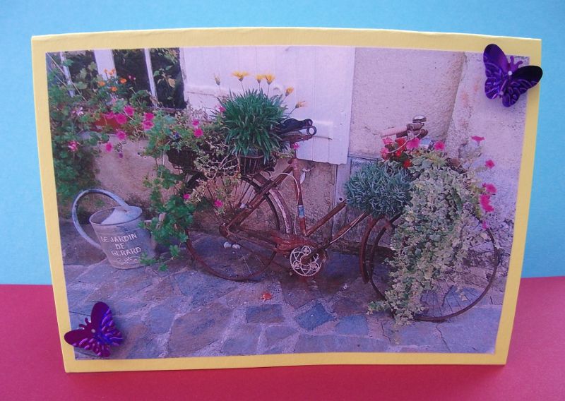 Carte bleue