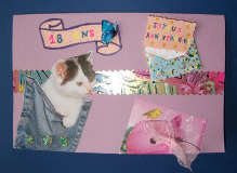 Anniversaire 18 ans